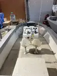 工作船 待售