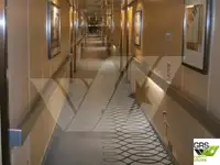 邮轮 待售