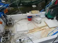 拖网渔船 待售