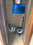 船员船 待售