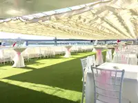 邮轮 待售