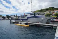拖船 待售