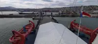 散货船 待售