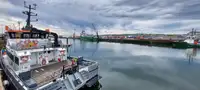 双体船 待售