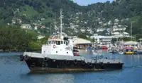 拖船 出售