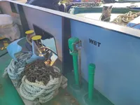 集装箱船 待售