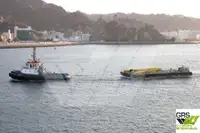 拖船 出售