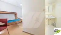 滚装船 待售