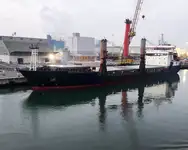 散货船 出售