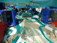 Trawler 出售