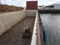 散货船 待售