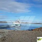 滚装船 待售