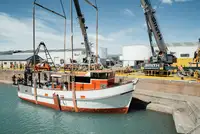 Trawler 出售