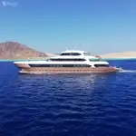 潜水支援船 待售