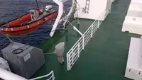 滚装船 待售