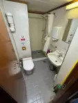 集装箱船 待售