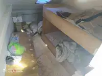 工作船 待售