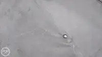 集装箱船 待售