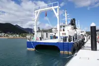 邮轮 待售
