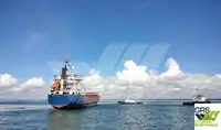 散货船 出售