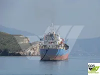 General Cargo/Multi-purpose 待售