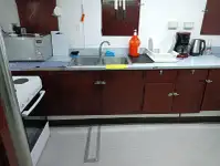 集装箱船 待售
