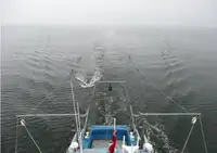 测量船 待售