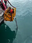 双体船 待售