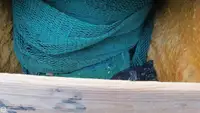 拖网渔船 待售