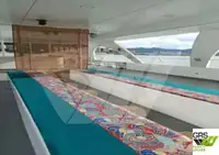 客船 待售
