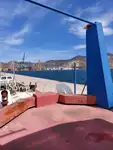 拖船 待售