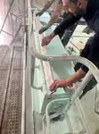 工作船 待售