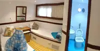 潜水支援船 待售