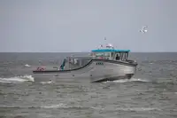 客船 待售