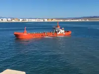 集装箱船 待售
