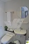 游轮 出售