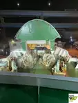 滚装船 待售