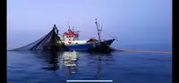Trawler 出售