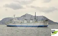 Ro-Ro ship 出售