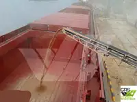散货船 待售