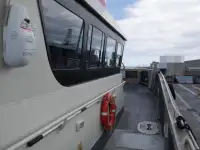 双体船 待售