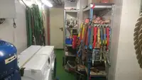 散货船 出售