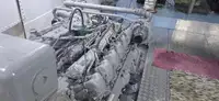 邮轮 待售
