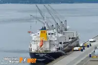 散货船 待售