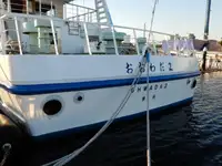 邮轮 待售