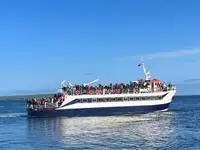 客船 出售