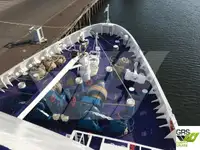 邮轮 待售