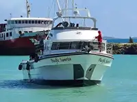Trawler 出售