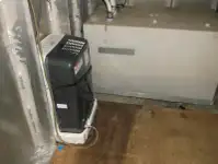 邮轮 待售