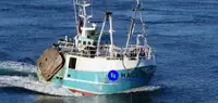 Beam trawler 出售